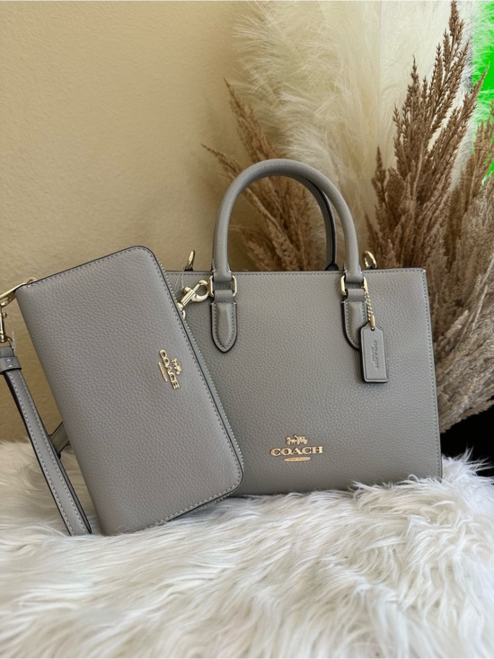 Coach Maggie Small Tote Bag and wallet set